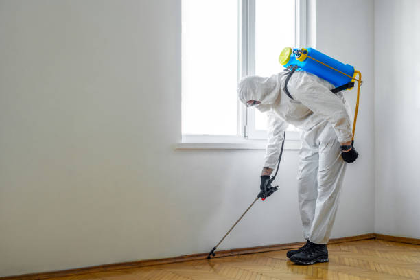 Indoor Pest Control in North Olmsted, OH